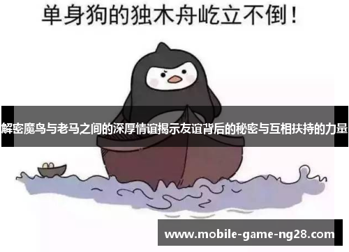 解密魔鸟与老马之间的深厚情谊揭示友谊背后的秘密与互相扶持的力量