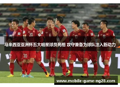 马来西亚亚洲杯五大明星球员亮相 攻守兼备为球队注入新动力