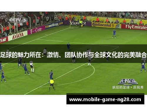 足球的魅力所在：激情、团队协作与全球文化的完美融合