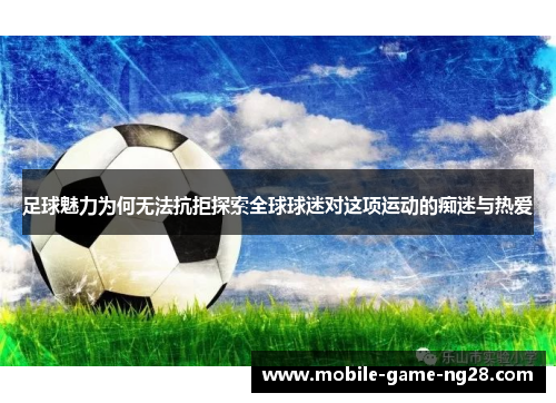 足球魅力为何无法抗拒探索全球球迷对这项运动的痴迷与热爱